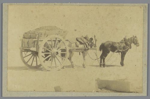 Paarden voor een kar by anonymous