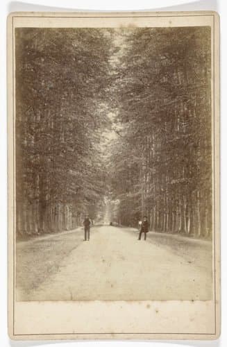 Boslaan (Middachter allée) bij De Steeg by J.S.J. de Jongh