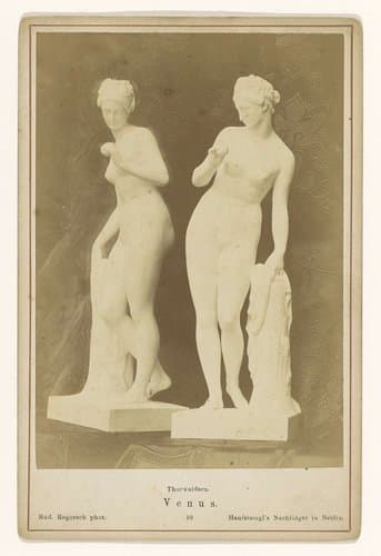 Venusbeeld van Thorvaldsen by Rudolph Rogorsch