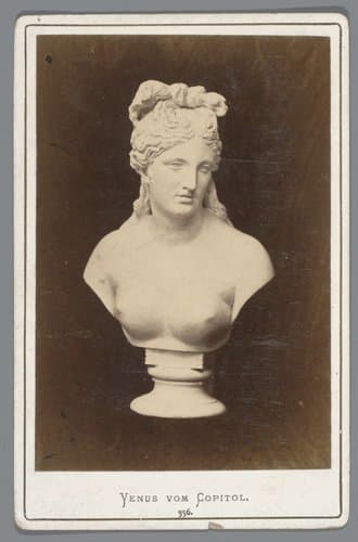 Sculptuur van de Capitolijnse Venus by anonymous
