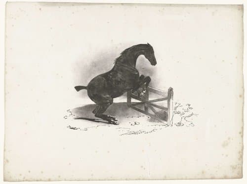 Paard springt over een hek by Courtin