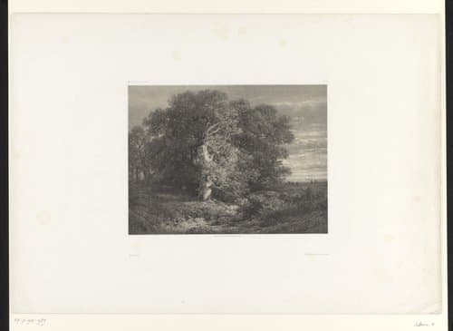 Oeuvres de A. Calame by Alexandre Calame