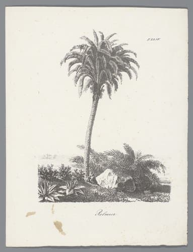 Portrait of J. Bernard