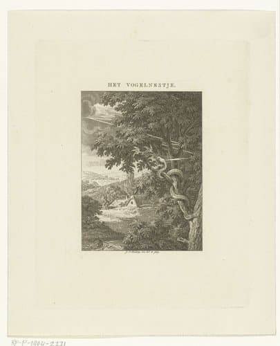 Vogelnest in boom wordt bedreigd door slang en bliksemschicht by Johannes Christiaan Bendorp