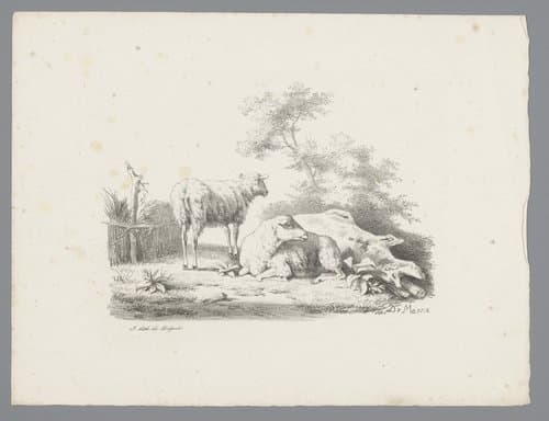 Landschap met twee schapen