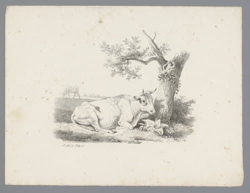 Landschap met rund liggend bij een boom