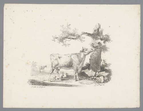 Rund eet van een boom by Jean Louis Demarne