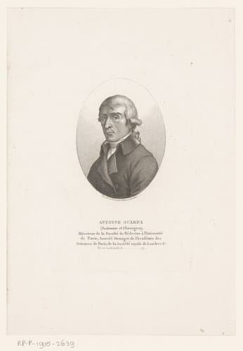 Compleet overzicht van beroemdheden by Ambroise Tardieu