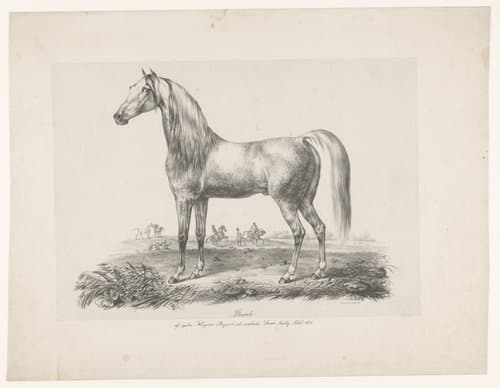 Paard by Carl Fredrik Kiörböe