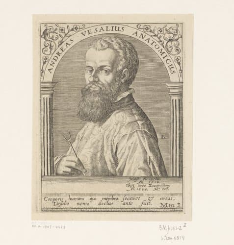 Portret van Andreas Vesalius by Robert Boissard