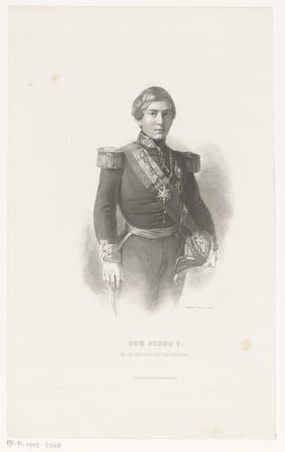 Dom Pedro V, Roi de Portugal et des Algraves