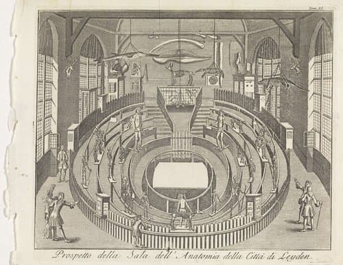 Prospetto della sala dell' Anatomia della Città di Leyden