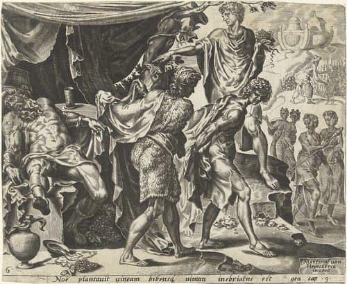 6/6 by Cornelis Cort