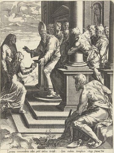 Presentatie van Maria in de tempel by anonymous