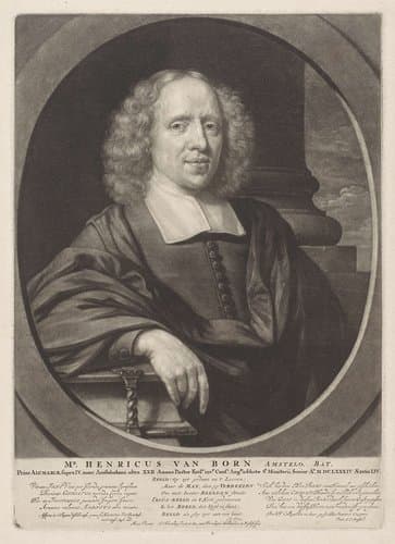 Portret van Henricus van Born by Abraham Bloteling