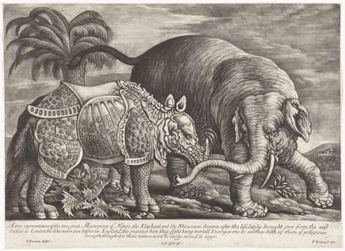 Olifant en neushoorn by Jan Griffier (I)