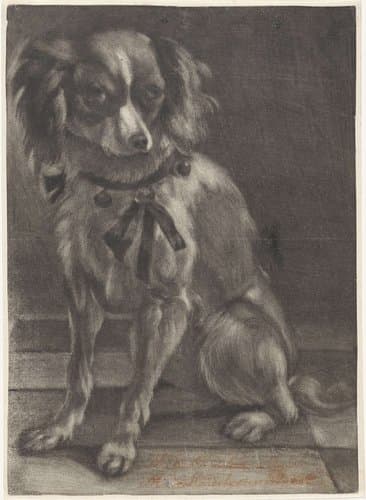 Zittende hond by anonymous