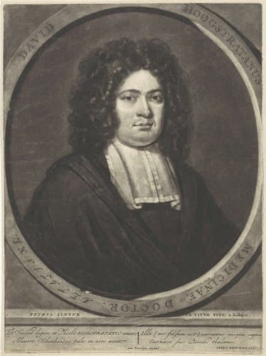 Portret van David Fransz. van Hoogstraten by Pieter Schenk (I)