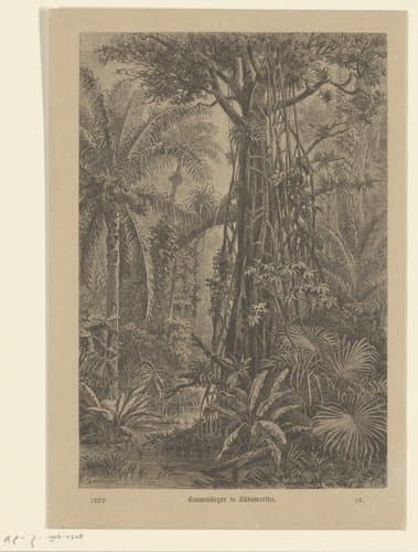 Bosgezicht by Carl Gottlob Specht