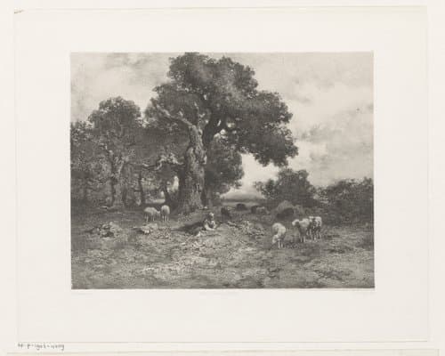 Landschap met schapen by Jan Mesker