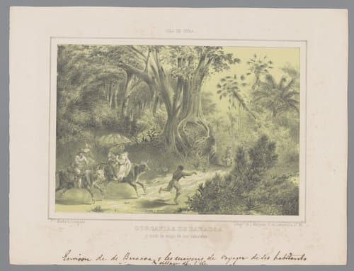 Het eiland Cuba by Frédéric Mialhe
