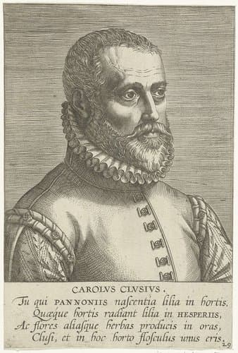 Carolvs Clvsivs by Philips Galle