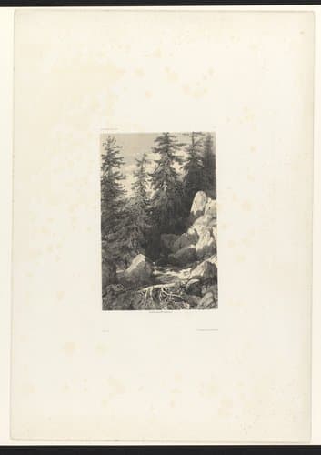 Landschappen door A. Calame by Alexandre Calame