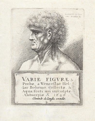 Mannenkop met krullend haar by Wenceslaus Hollar