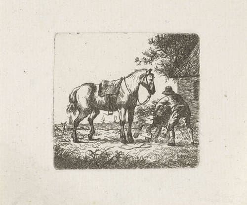 Voeren van het paard