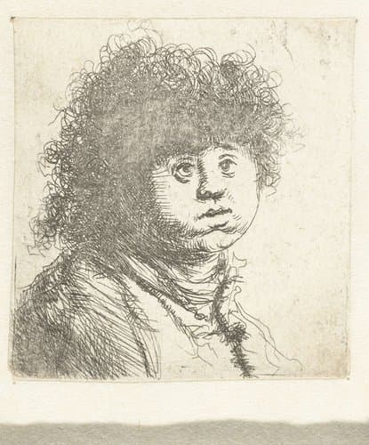 Kop van een knaap met kroeshaar by Jan Lievens