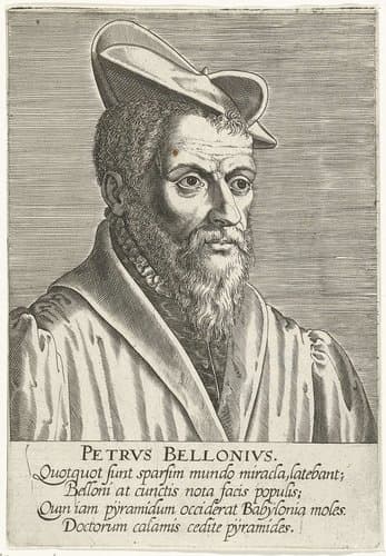 Portret van Pierre Belon by Philips Galle