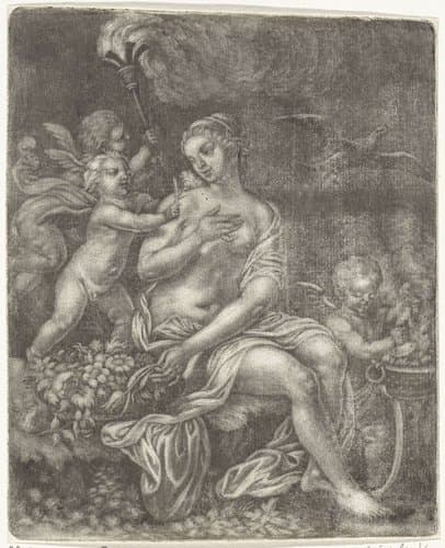 Venus by Jan van Somer