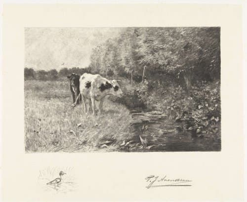 Twee koeien in de wei bij een sloot by Petrus Johannes Arendzen