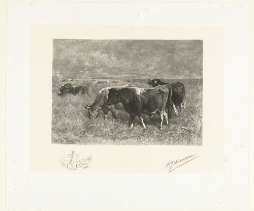 RP-P-1909-1557