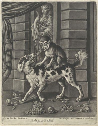 Aap op de rug van een hond by Jan van Somer