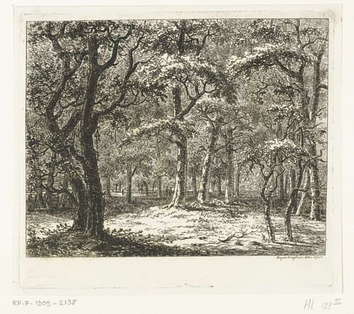 Open plek in het bos by Ernst Willem Jan Bagelaar