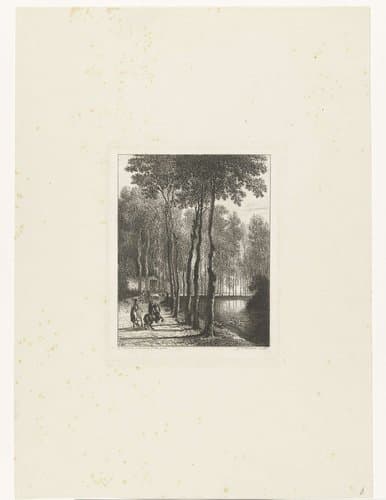 De berkenlaan by Johannes Arnoldus Boland