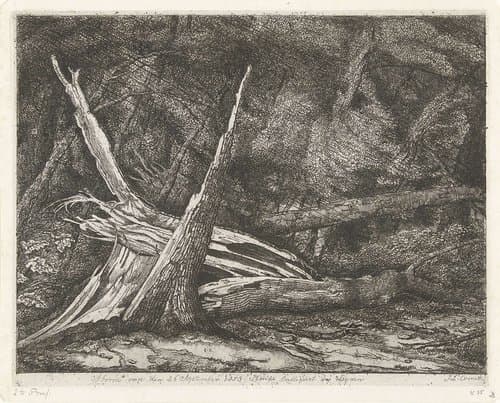 Gevelde bomen na een storm by Jacobus Ludovicus Cornet