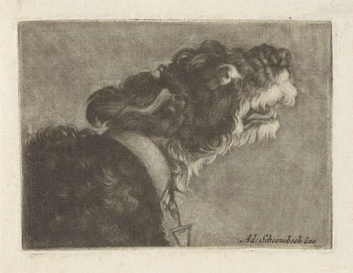 Kop van een blaffende hond by anonymous