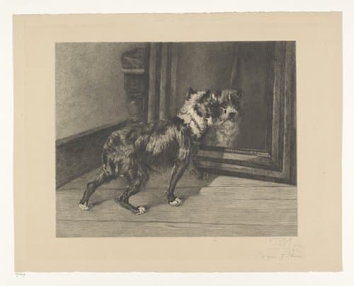 Hond voor een spiegel