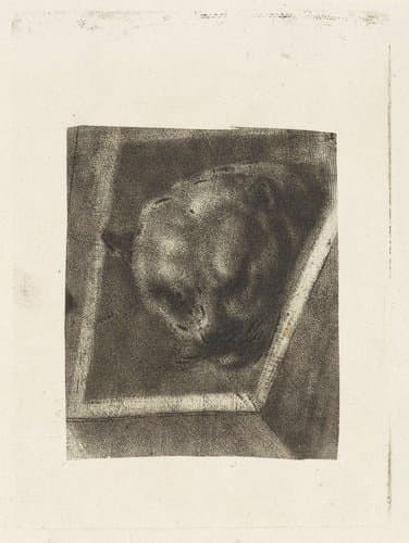 Kop van een panter by Dirk van der Toorn