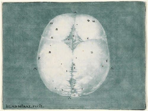 Prenten van het brein en het hart by Jan l'Admiral