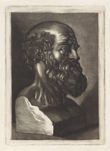 Buste van een oude man met baard by anonymous