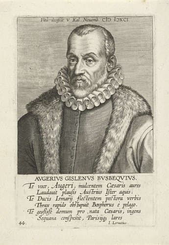 Portret van Ogier Ghislain de Busbecq by Philips Galle