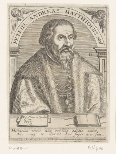 Petrus Andreas Matthiolus Med. by Robert Boissard