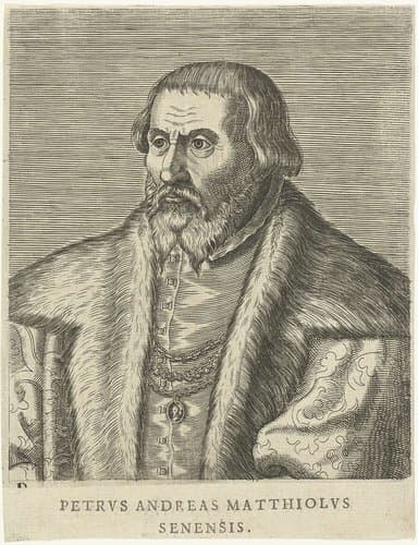 Petrvs Andreas Matthiolvs Senensis by Philips Galle