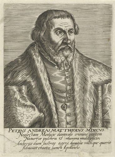 Portret van Pietro Andrea Mattioli by anonymous