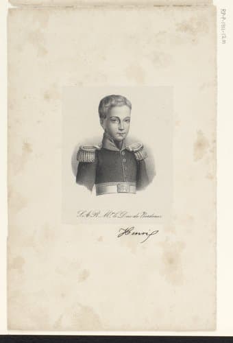 S.A.R. M.gr le Duc de Bordeaux by anonymous; veuve Delpech (Naudet)