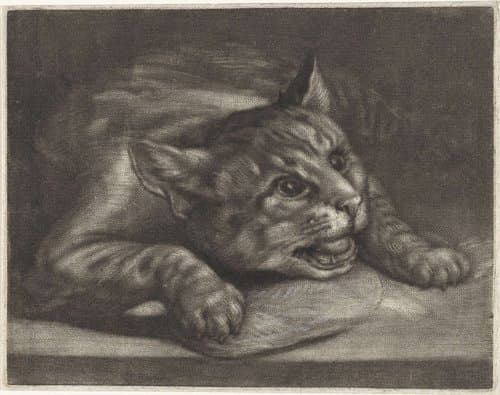 Kat met een vis by Wallerant Vaillant