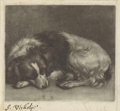 Slapende hond, mogelijk een spaniël by Jan Verkolje (I)